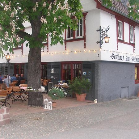 Gasthaus Zum Ochsen MHG Exteriör bild